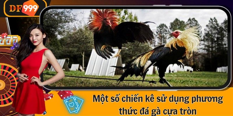 Một số chiến kê sử dụng phương thức đá gà cựa tròn